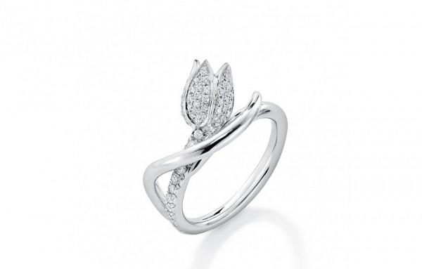 十月新娘 与众不同的钻石戒指(3)
